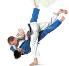 Judo2